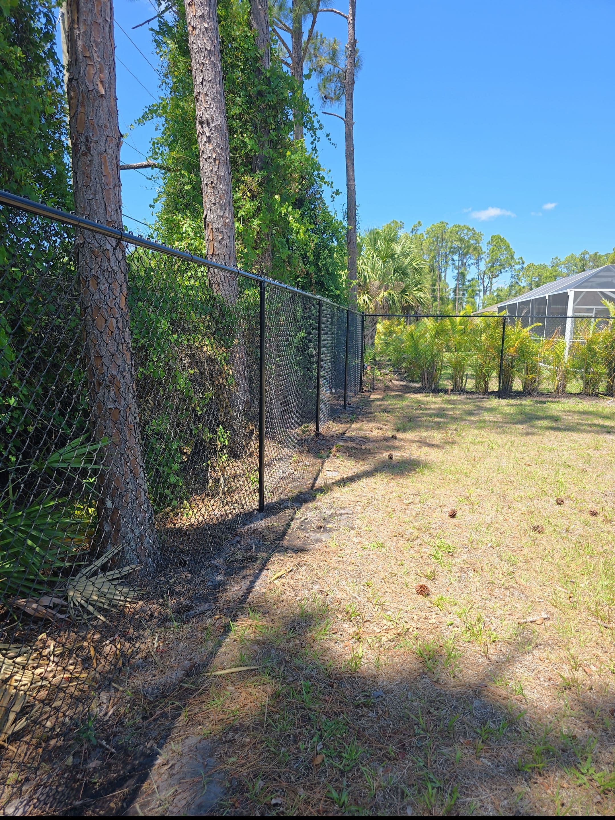 Chain link fence installed by True Fence Florida