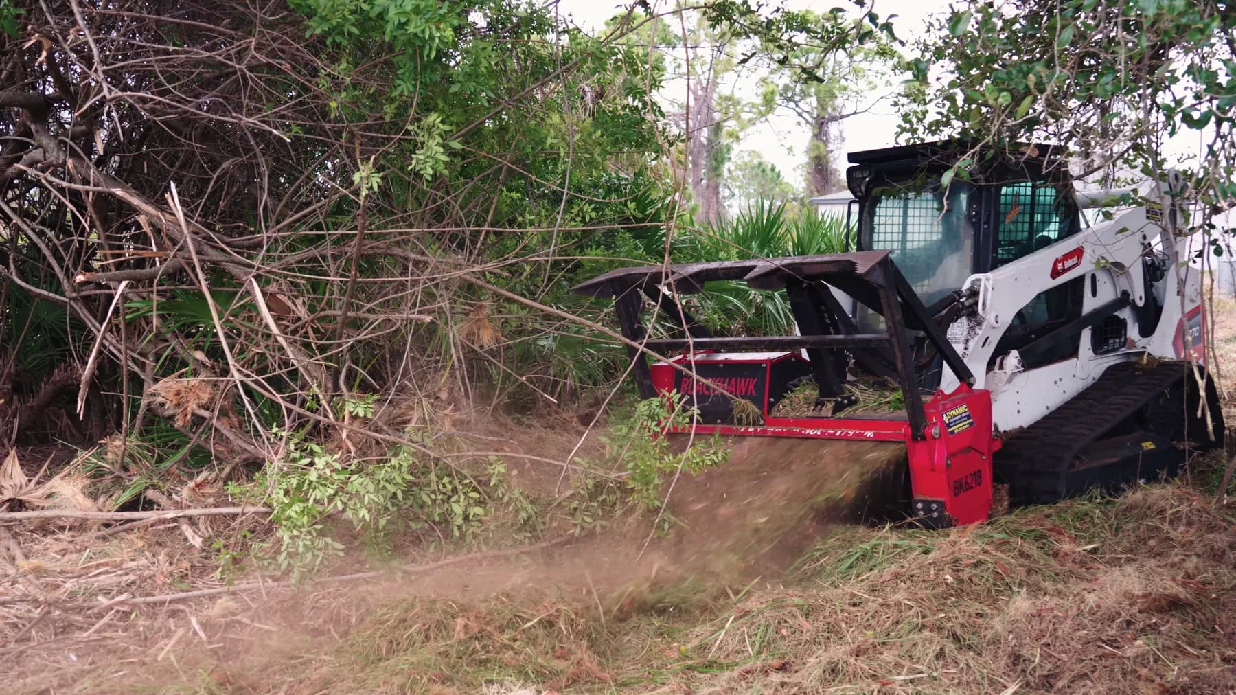 Bobcat clearing brush on a Southwest Florida lot